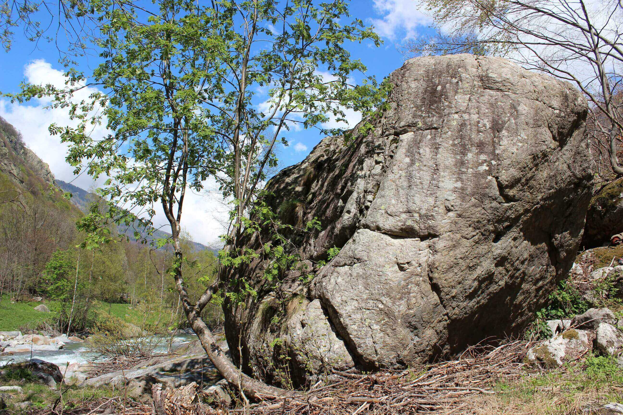 Cuneo地方のVal Elleroの風景